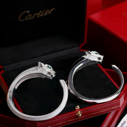 Cartier_Cartier_cartier ۸-1P