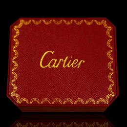 cartier_cartier_cartier۸-5P