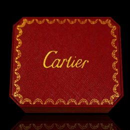 cartier_cartier_cartier۸-2P